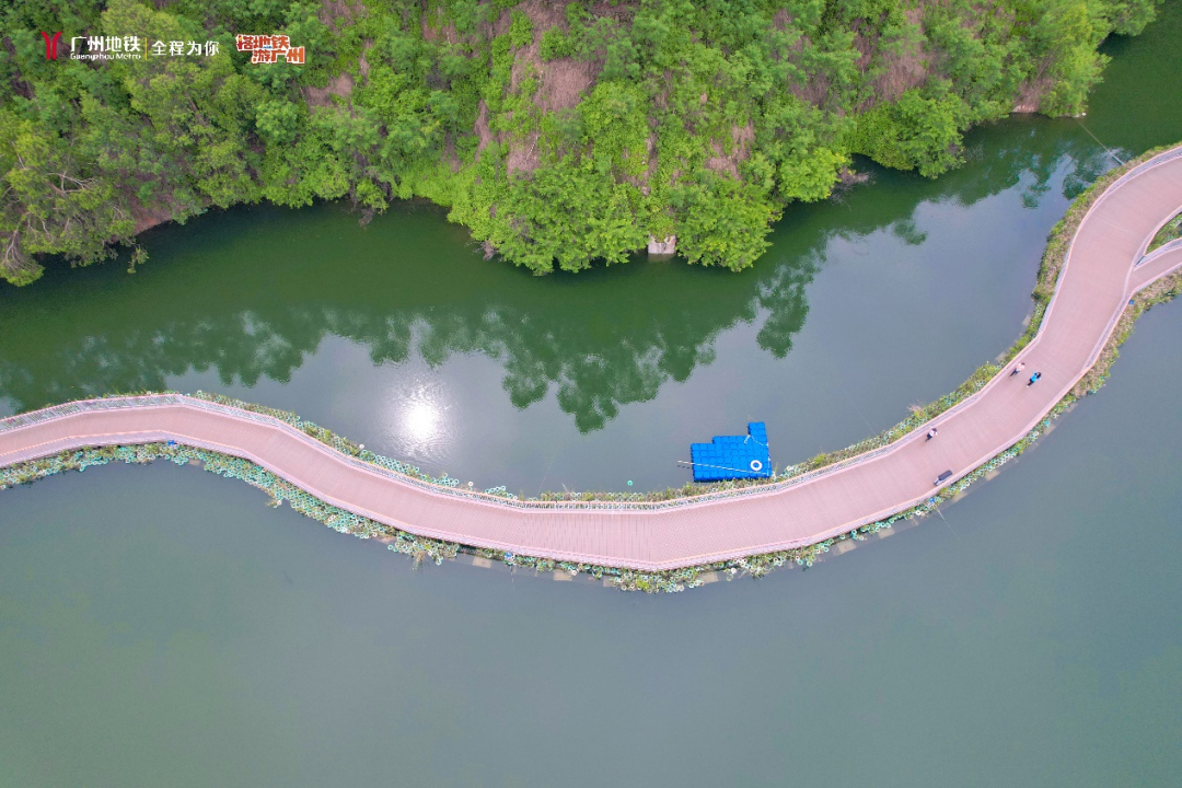 游湖,观瀑,穿隧道,听虫鸣鸟叫漫步在蜿蜒曲折的环湖栈桥凤凰湖水系的
