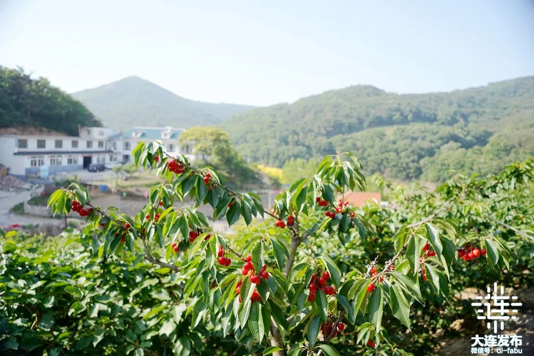 游大连,同比↑108%!