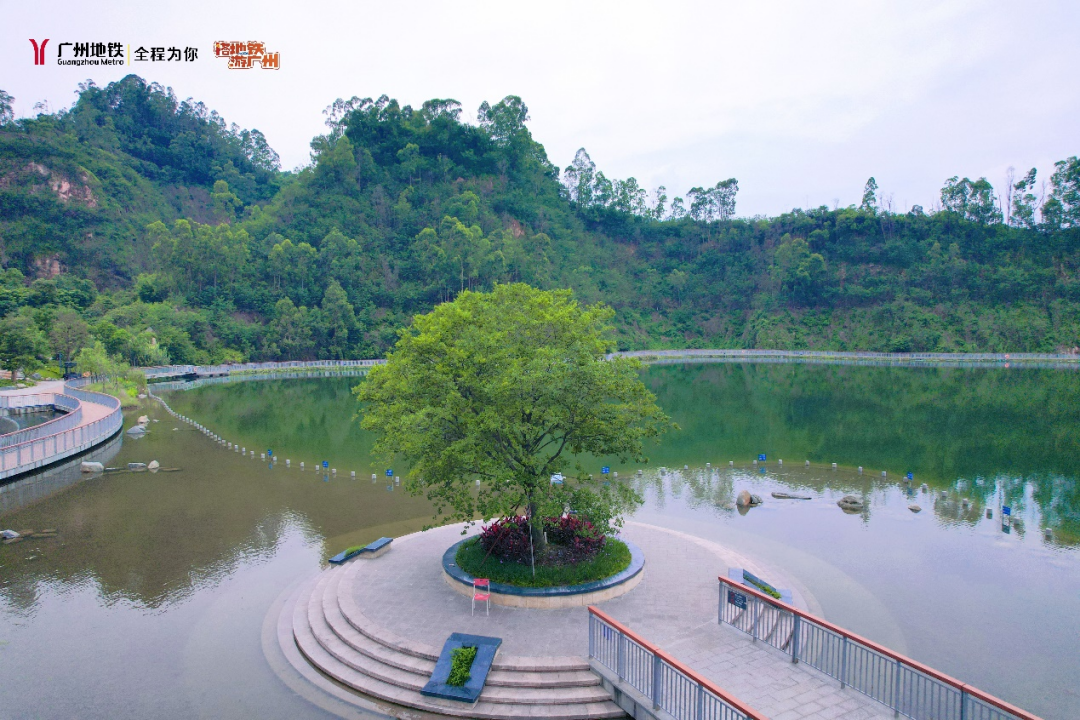 你是否听说南沙蕉门这个美如画的凤凰湖?下一站大美南沙搭地铁游广州