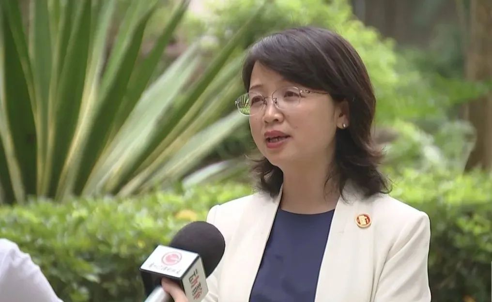 杨慧,任上被查!上周还出镜接受采访