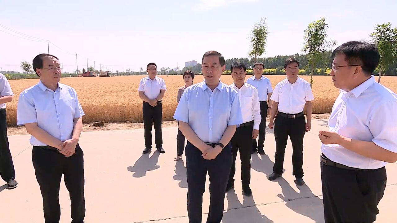 张超超在藁城区调研检查"三夏"工作