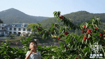 游大连,同比↑108%!