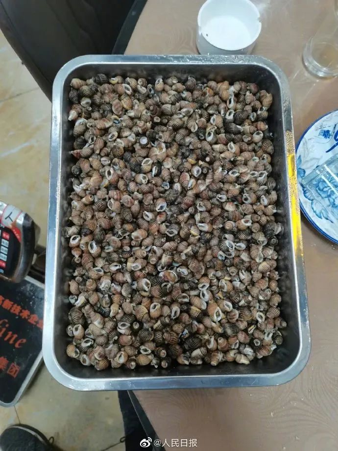 一餐馆售卖这种螺,涉嫌犯罪!警方介入