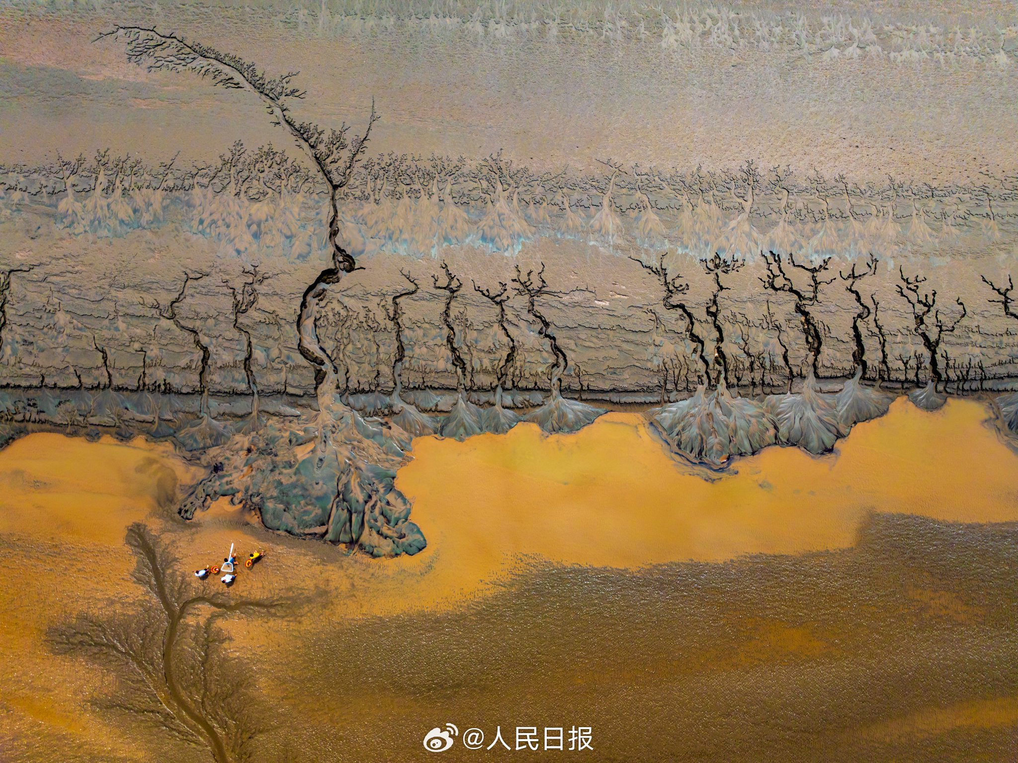 壮观!杭州钱塘江再现大地之树|杭州市|钱塘江|浙江省_新浪新闻