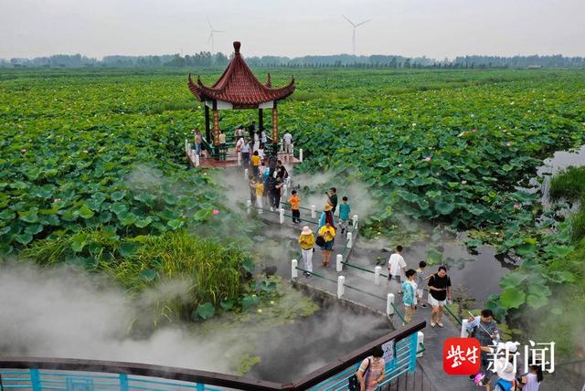 花开时节又逢君,第24届金湖荷花节隆重开幕