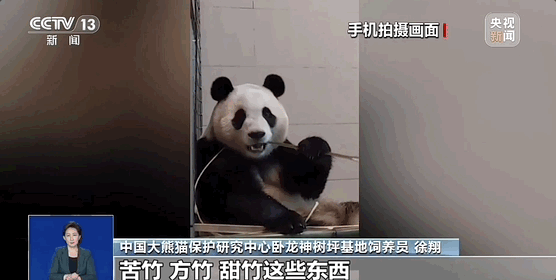 爆火！“顶流”今天正式复出！-今年顶流