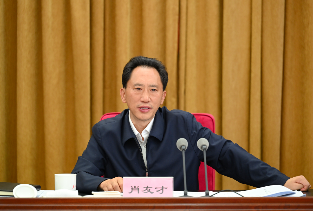 市领导王强,赵辉年,陈静,贺鹏,江拥洛追,张定成,徐海,李江新,张春阳