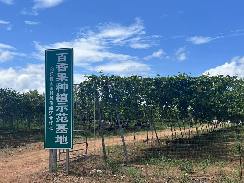 2024年万宁市人口_“槟榔之乡”万宁:八成槟榔树染病,产业也快“黄”了