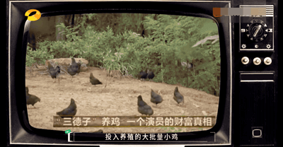 明明可以当明星,却偷偷养了10年鸡,如今身家成迷