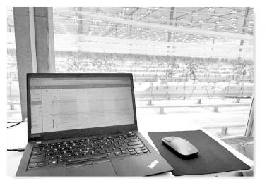 天府农博园集中了多项农业"黑科技"项目,是现代农业的样本之一.