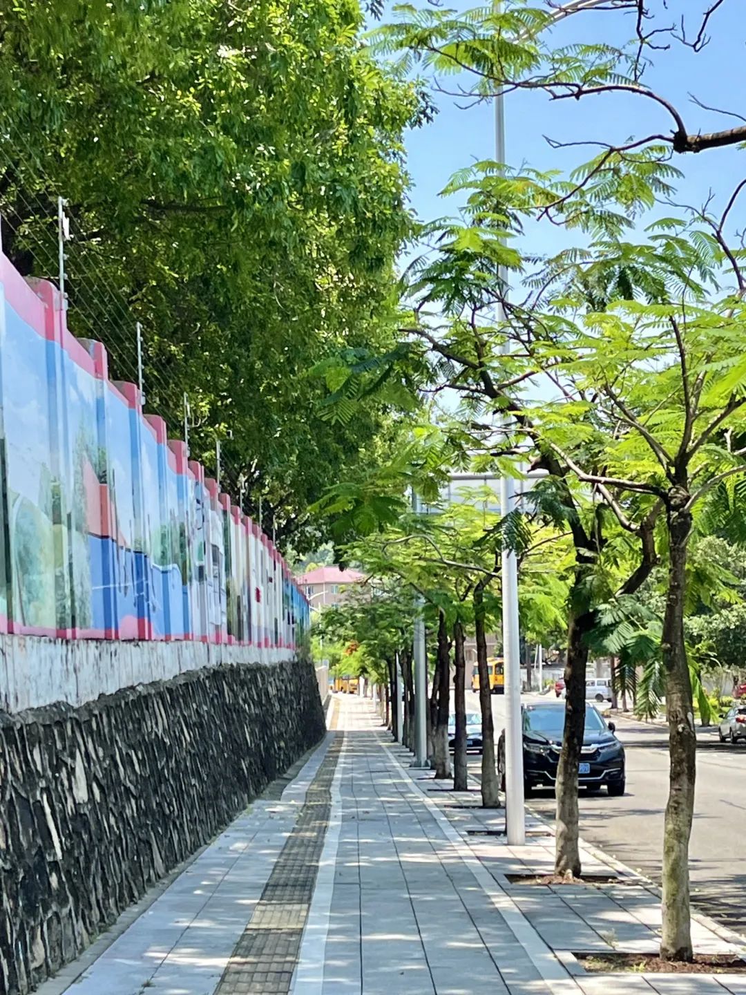 东莞市_新浪财经_新浪网