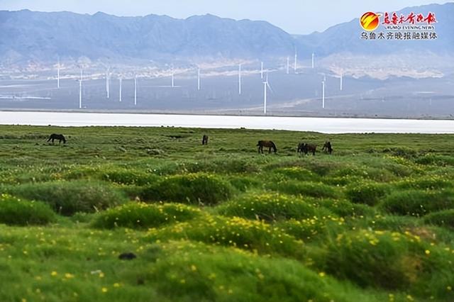 　　在达坂城区盐湖附近，湿地、草甸、湖泊和风电机组形成一组美丽画卷（6月12日）。记者陈岩摄