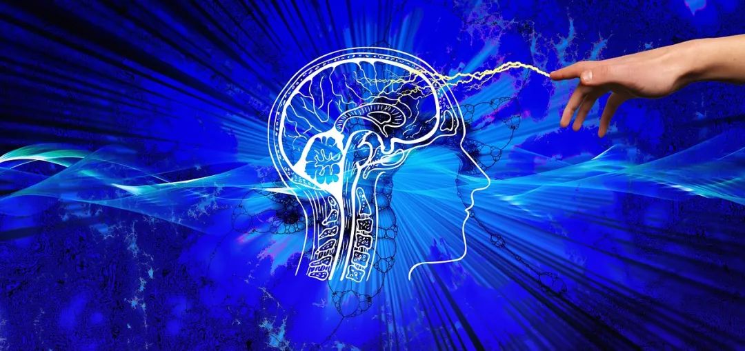 猫咪怎样启发了人工神经网络的诞生?