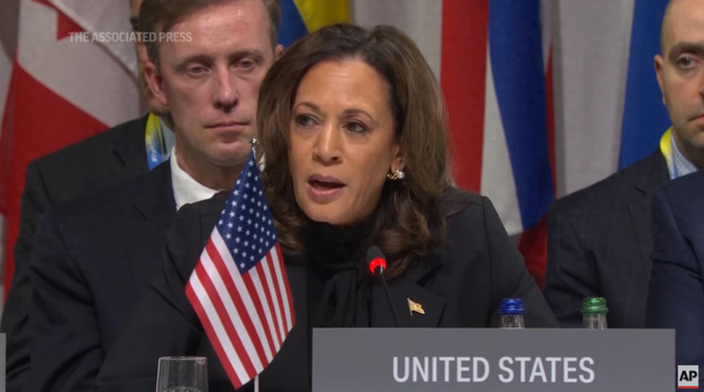 美国副总统哈里斯在瑞士乌克兰问题会议上发表演讲.