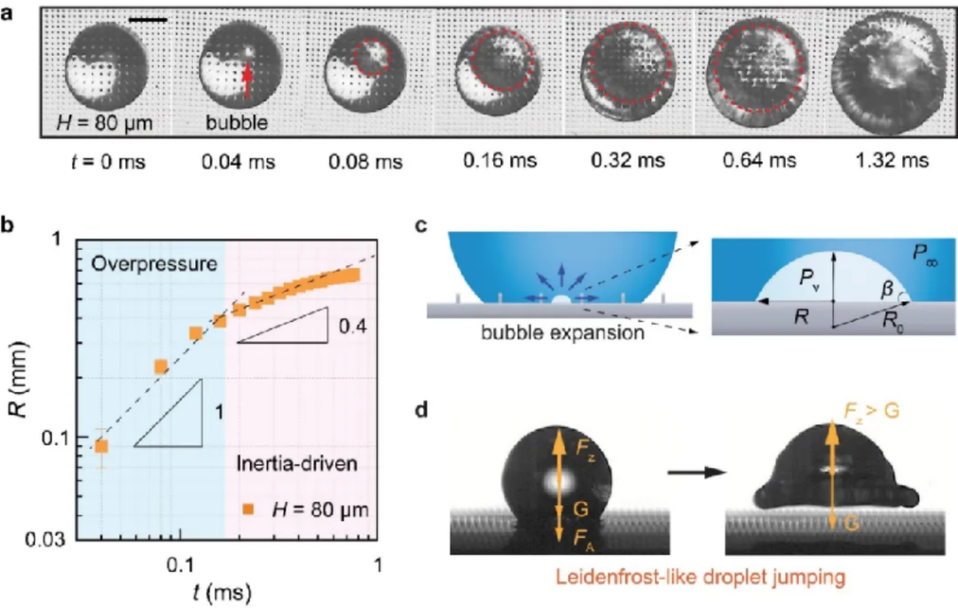 图 | 决定命运的的蒸汽泡（来源：Nature Physics）
