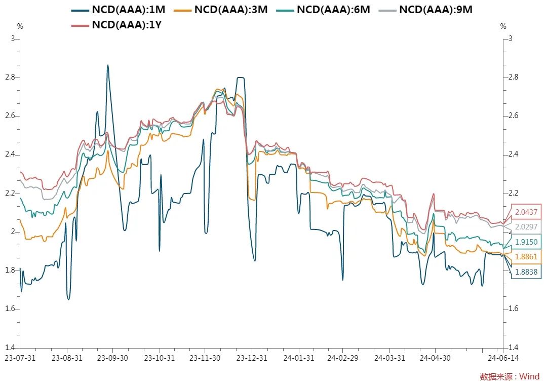 （*数据来源：Wind-同业存单-发行结果）