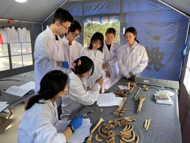 研究团队进行考古。复旦大学 供图