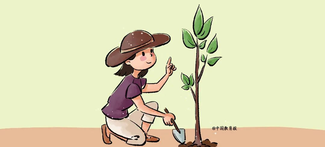 一位老师的反思:不要在本该扎根的岁月里,着急开花