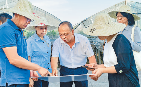 2022年7月，徐利民（右三）和相关专家实地察看上山遗址博物馆选址区块。张国萍 摄