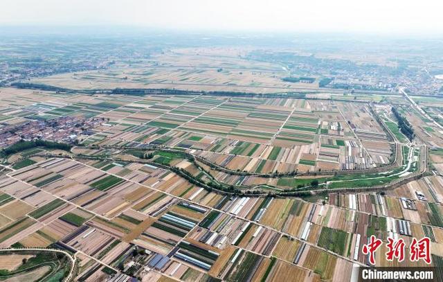 山西新绛:蔬菜大棚好"丰"景