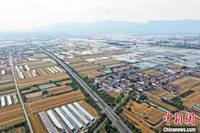 山西新绛:蔬菜大棚好"丰"景