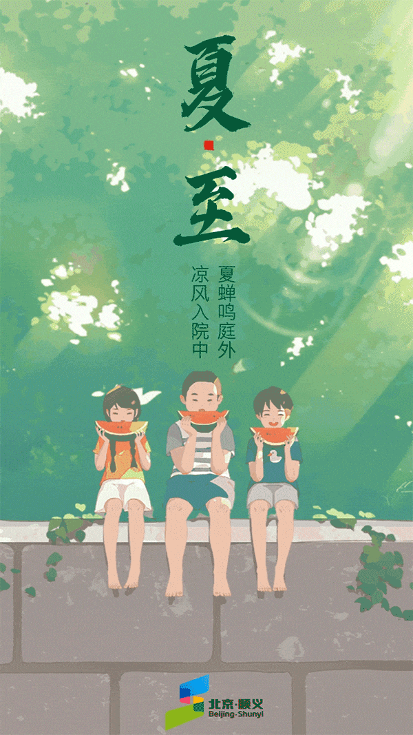 今日夏至｜盛夏已至，向阳而生！