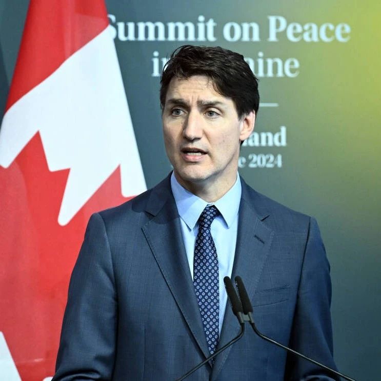 对中国电动车加税？“加拿大决定跟，但也怕……”_手机新浪网