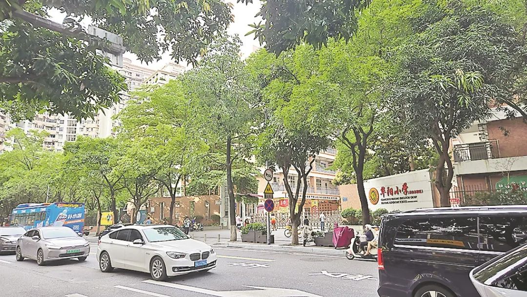 广州天河林和区域教育资源集中,“学区房”交易活跃