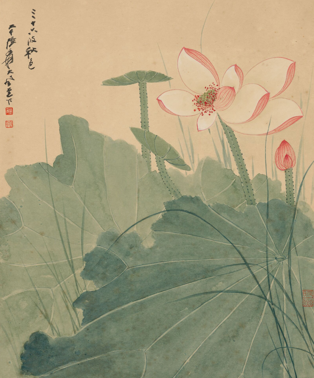 张大千《荷花图》