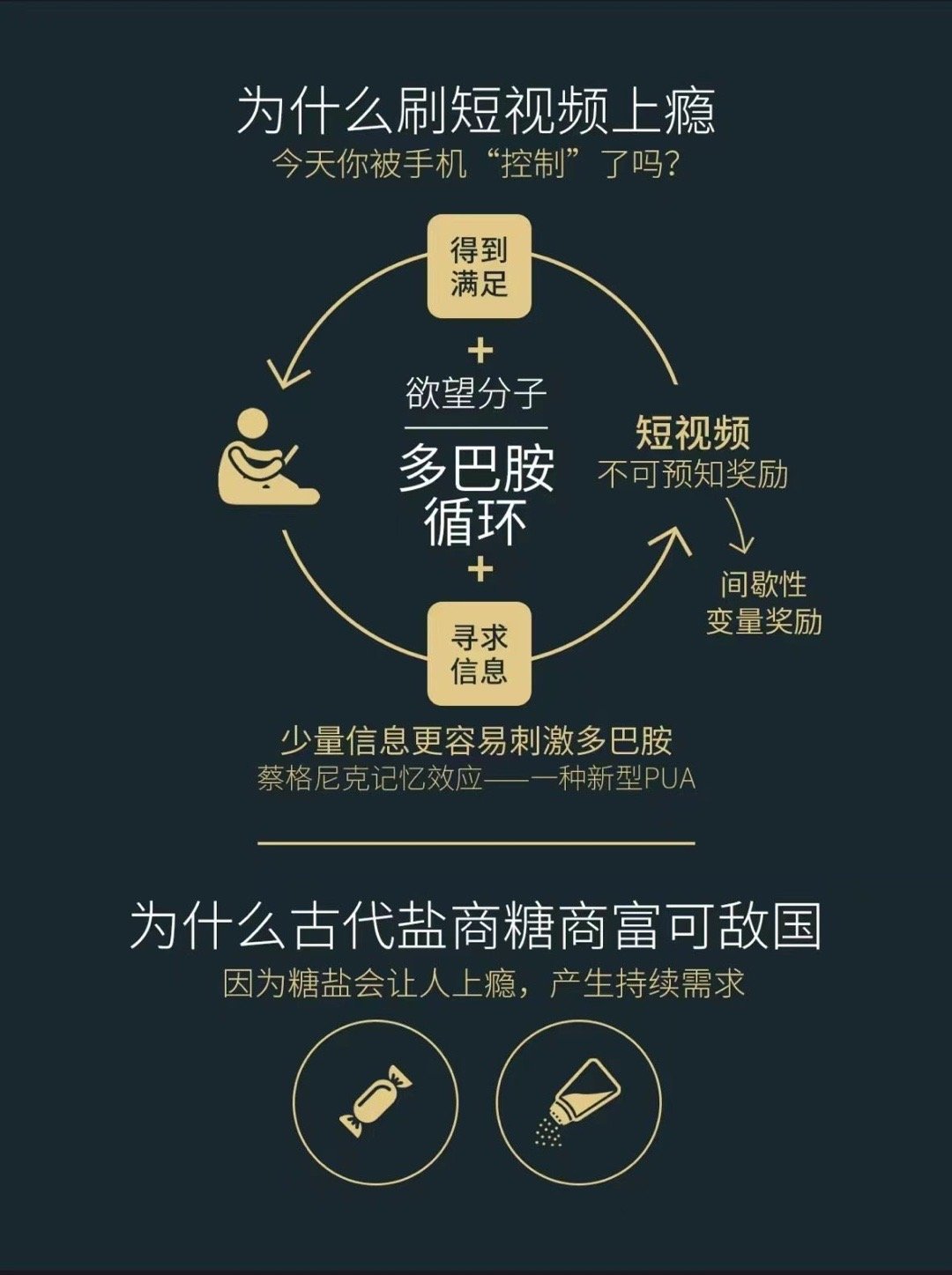 多巴胺的生成与作用 生成:多巴胺由一种叫做酪氨酸的氨基酸生成…|抑郁症|精神分裂症|动机|奖励|活动过度_新浪新闻