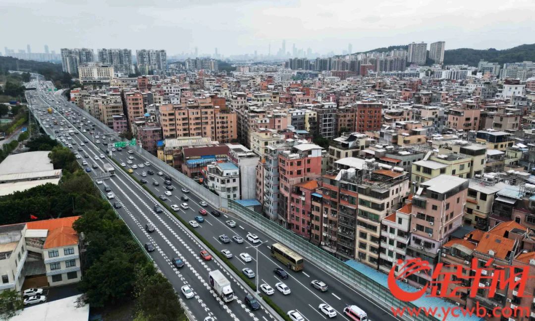 广州外地车"高峰限行"在即,坊间聚焦这些热点问题