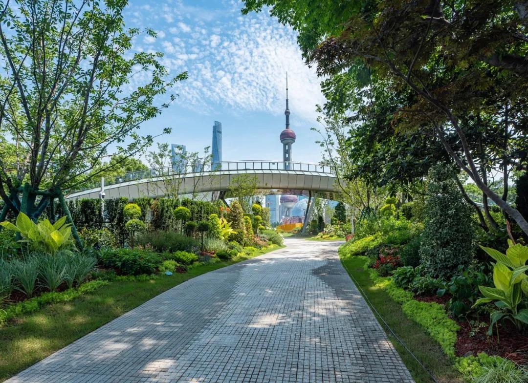 上海路边的绿化堪比一座座小花园。（图/视觉中国）