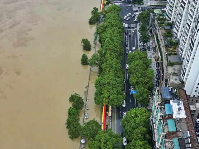 △江滨西大道水位实景（张家云 摄）