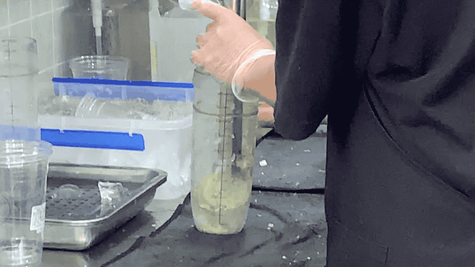 奶茶店店员暴打香水柠檬中 | 小Z 拍摄