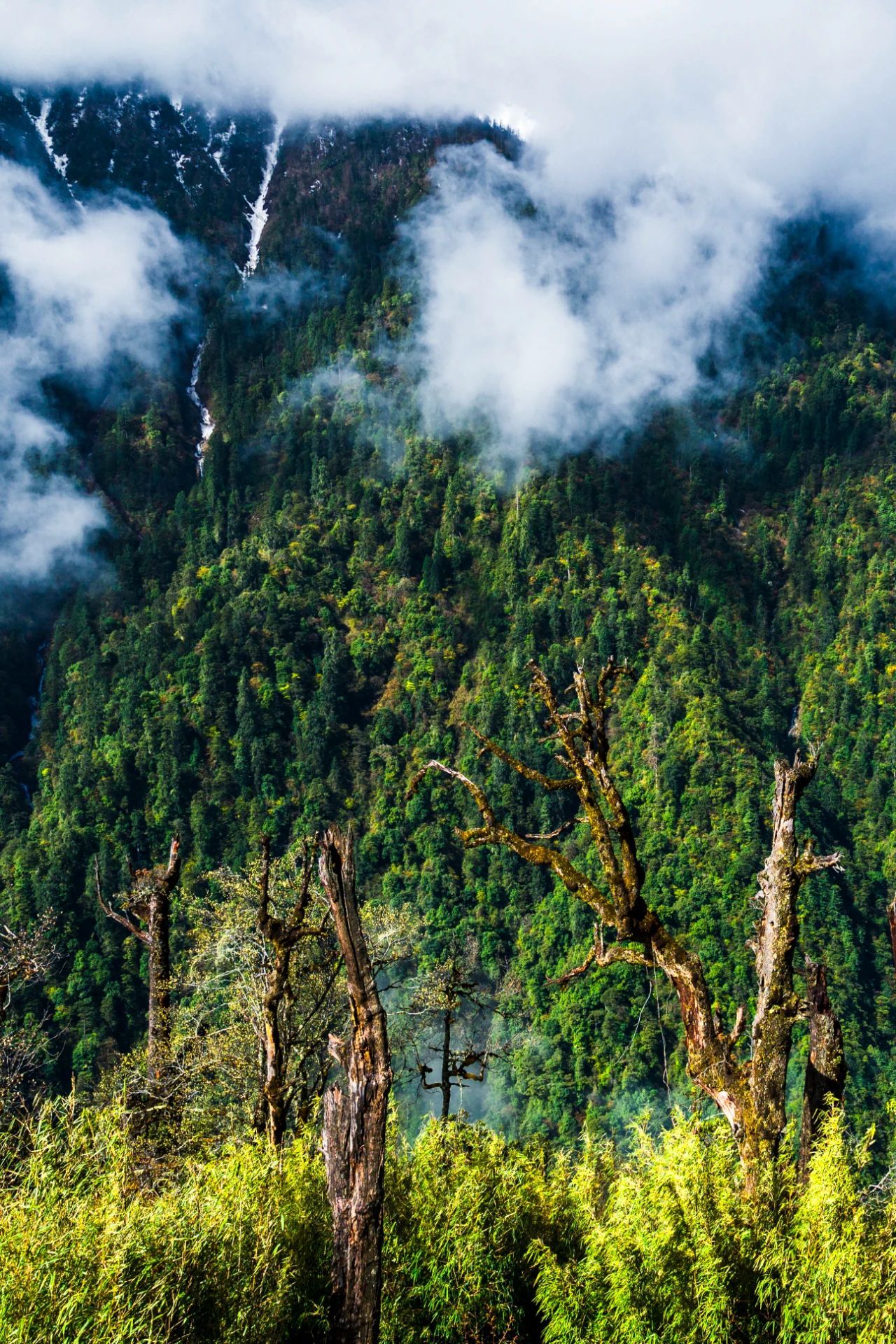 山间云雾缭绕景象(邓斌 摄)