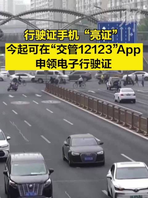 下载交警123123违章查询交费