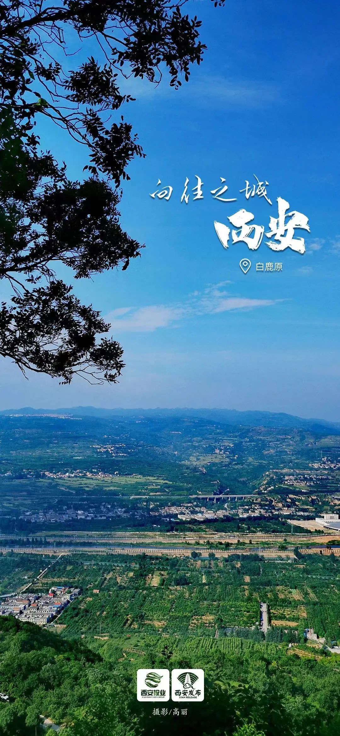 这就是西安的夏天!