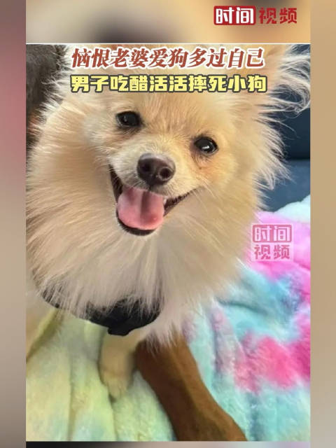 恼恨老婆爱狗多过自己 美国男子吃醋活活摔死小狗|狗_新浪新闻