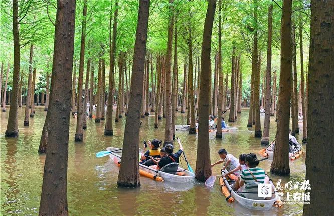 来云南,寻一"夏"清凉