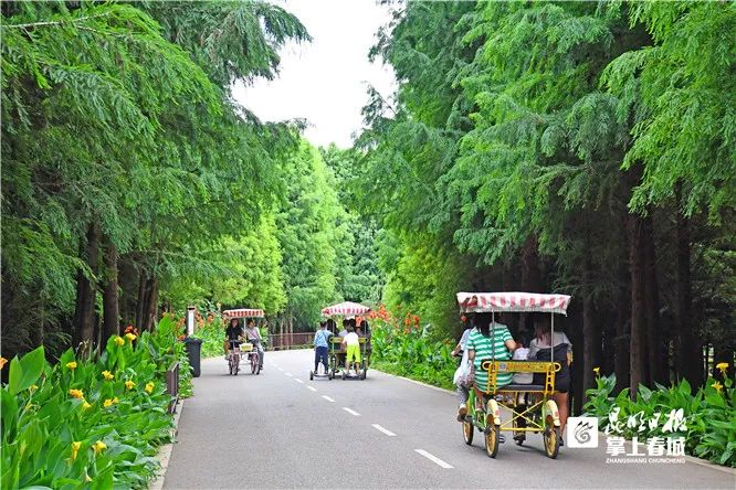 来云南,寻一"夏"清凉