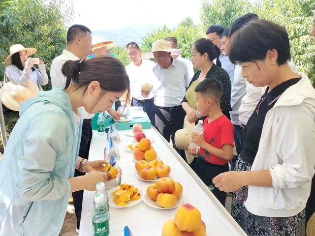 推介会现场(斯琴托娅 摄)