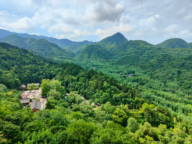 从麦积山石窟上看去，7月的秦岭，满山满眼都是浓郁的绿色。 高宇婷 图