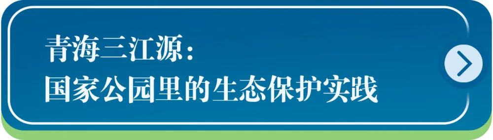 来源:新华社