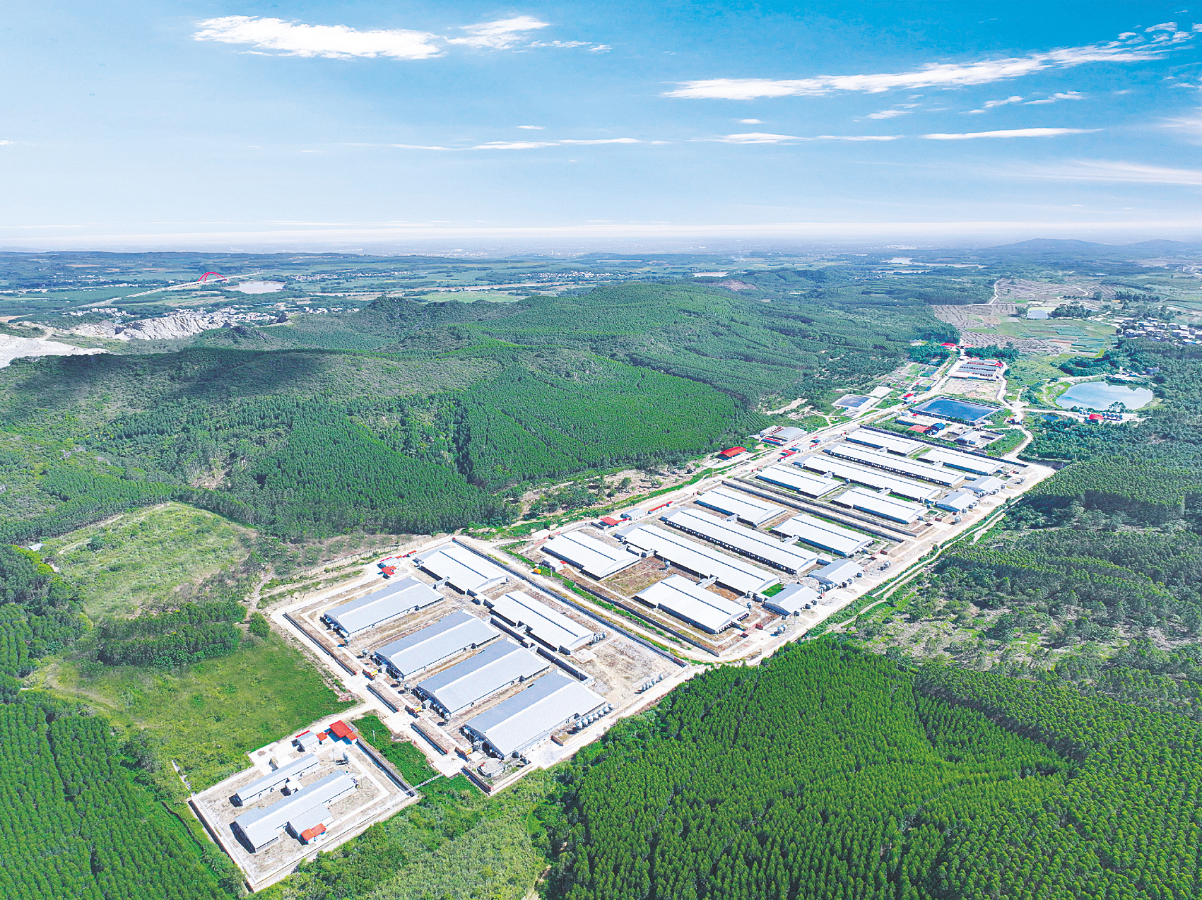 江南区江西镇的新希望六和南宁新好生猪养殖产业示范区同良种猪场外景