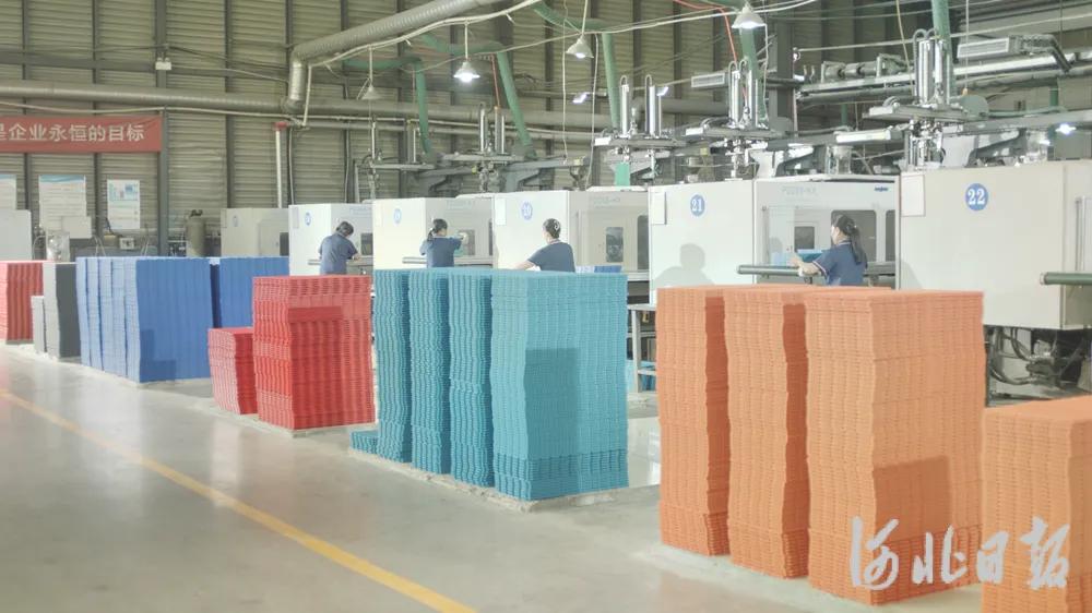 石家庄地板"铺"进巴黎奥运会