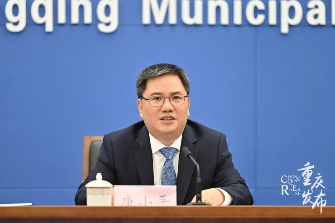 政府副区长黄可欣沙坪坝区委常委,宣传部部长肖庆华沙坪坝区委副书记