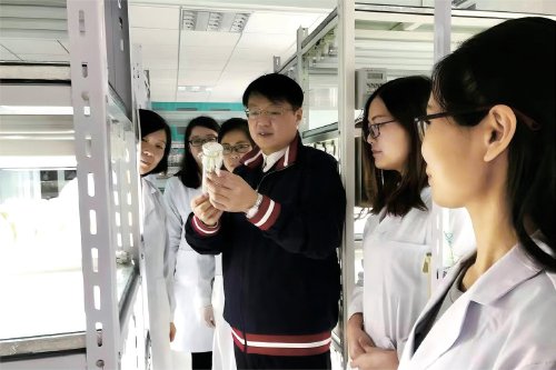 　　北京科技大学万向元教授在实验室为学生授课。　资料图