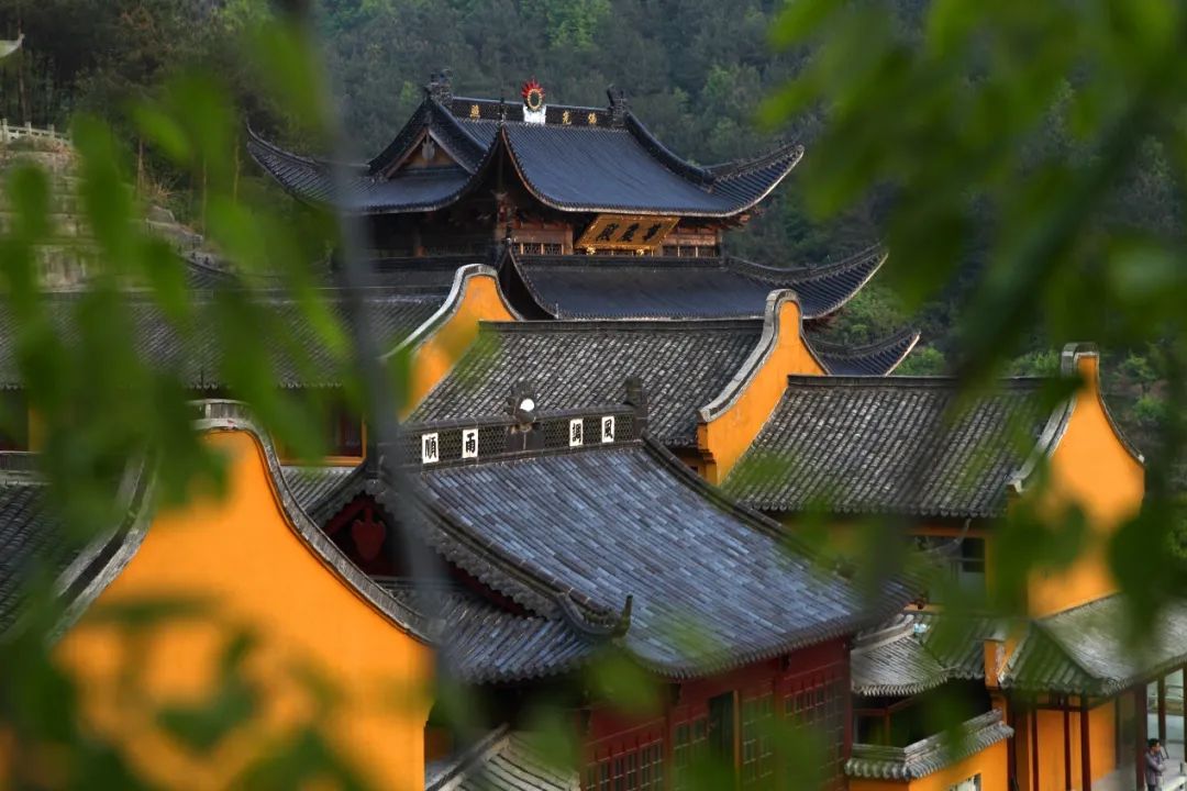 全程手机上缴，还有年龄限制，一天就报满？灵隐寺“丛林生活体验活动”受追捧|灵隐寺|丛林|全程_新浪新闻