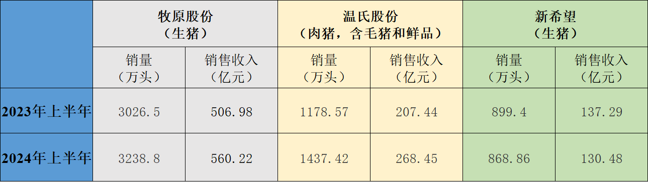 三大上市猪企2024年上半年与2023年上半年销售情况对比。制表  澎湃新闻