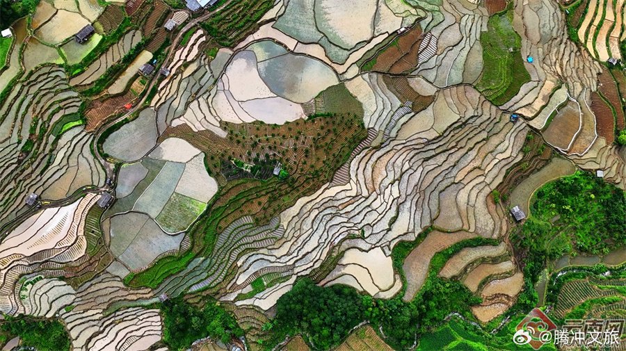 腾冲五合乡:夏日梯田美如画